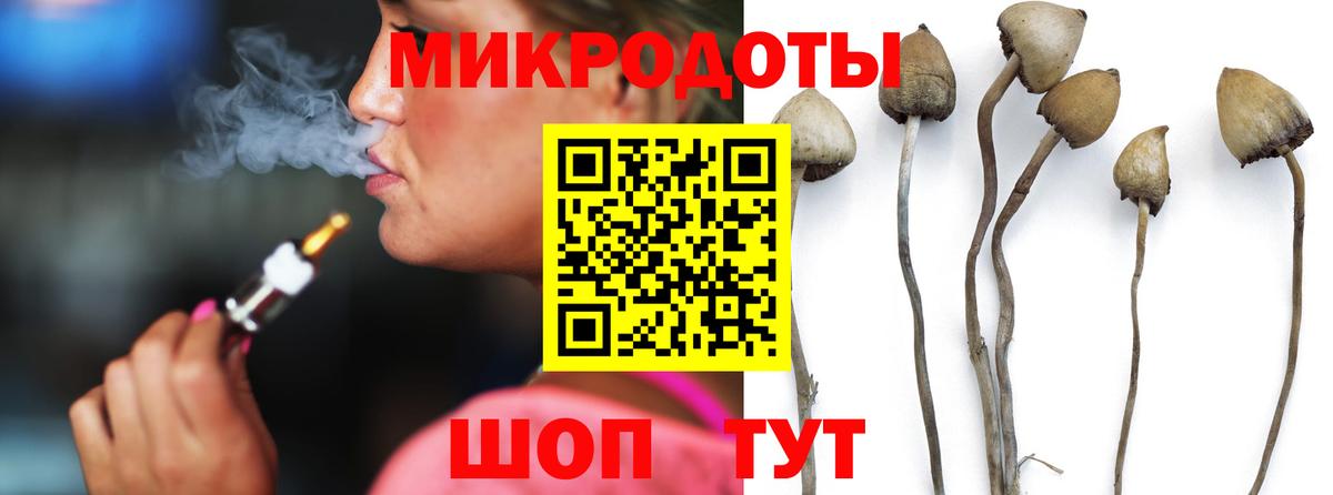 Псилоцибиновые грибы MAGIC MUSHROOMS  Псилоцибиновые грибы Psilocybine cubensis  Вход с VPN  Керчь 